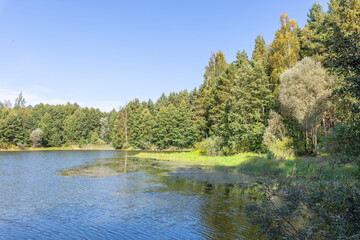A calm lake with trees in the background