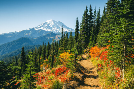 Mount Rainier view from Naches Peak Loop Trail, autumn colors in Mt. Rainier National Park	