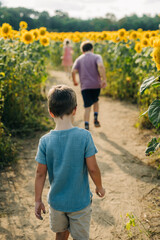 Children walking along a dirt path in a sunflower field