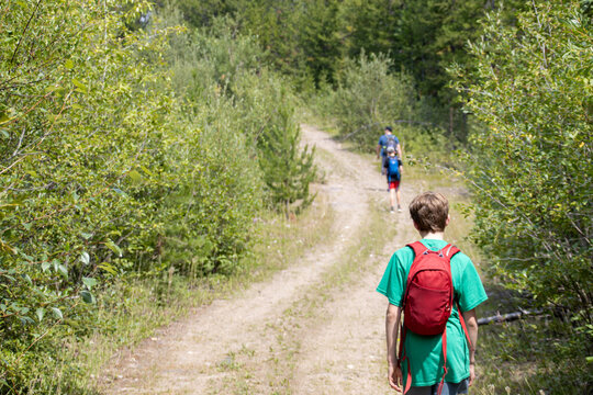 A father and his sons hiking along a dirt path through a forest