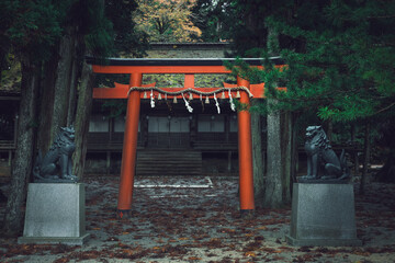 orange tori sorrounded of sculptures