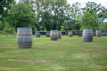 Obraz premium Wine barrels used as tables stand on a green field. Tall beautiful trees and clouds in the background