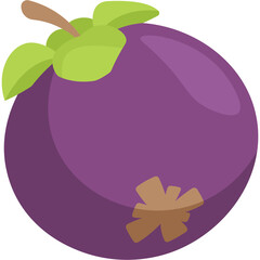 Mangosteen Illustration
