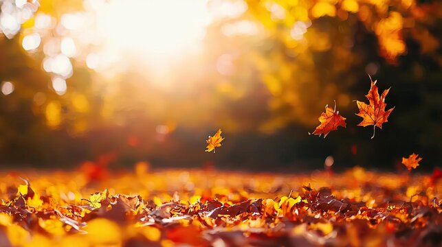Golden autumn leaves float gracefully in the sunlight, capturing the vibrant essence of fall in a serene and picturesque landscape.