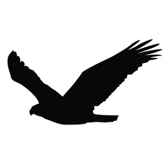 Vector graphic of eagle icon. Eagle logo. Line drawing. Great for car stickers, motorbikes, and t-shirts. Black and White.