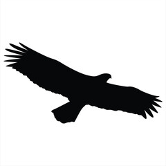 Vector graphic of eagle icon. Eagle logo. Line drawing. Great for car stickers, motorbikes, and t-shirts. Black and White.