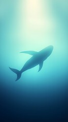 Fototapeta premium Silhouette Whale Underwater
