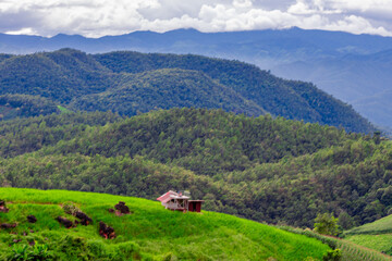Fototapeta premium Natural background on the mountain with green rice terraces. Pa Bong Piang is one of the beautiful viewpoints in Chiang Mai, Thailand, overlooking the surrounding mountains. It is always popular.