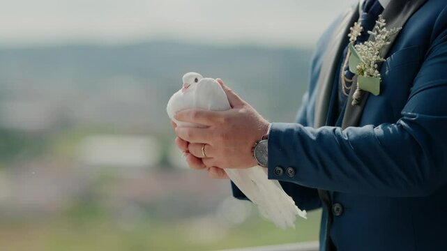person in suit gently holds white dove ready for symbolic release during celebration