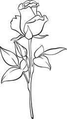 Template of single roses for design.