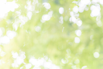 Fototapeta premium Blur dream cool bokeh grass in morning sunny day nature background concept csr modern life, eco spring, summer friday happy easter, fresh bio green texture. Abstract clean blue cyan shade wallpaper.