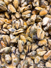 Frozen Cooked Chilean Mussels Top View
