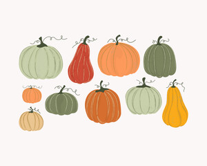 Pumpkin set of isolates on white background. Design elements for holiday cards, packaging, banners, for printing on fabric. Juicy fruits and plants. Drawn with texture. Vector illustration, hand drawn