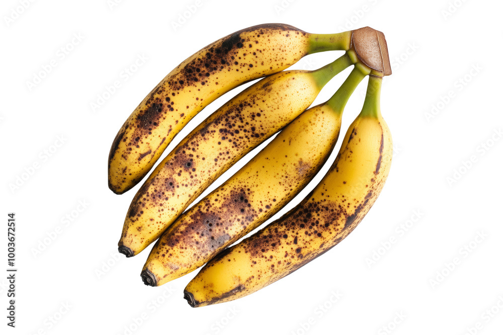 Poster bunch of ripe bananas with green stems ,isolated on transparent background