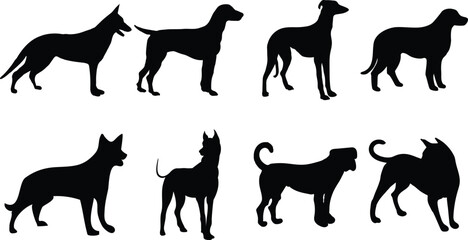 Set of Dog Breeds Silhouette Vector illustration on a White Background. 