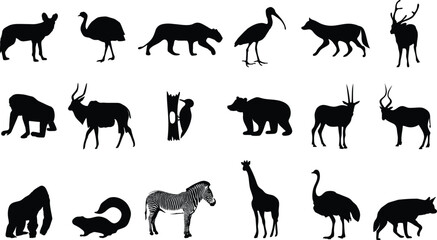 Collection of Vector Animal Silhouettes illustration on white background