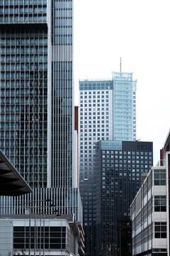 The image showcases a contemporary city skyline filled with tall office buildings featuring glass facades, illustrating modern architecture and urban growth in Rotterdam
