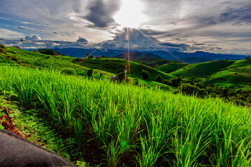 Natural background on the mountain with green rice terraces. Pa Bong Piang is one of the beautiful viewpoints in Chiang Mai, Thailand, overlooking the surrounding mountains. It is always popular.