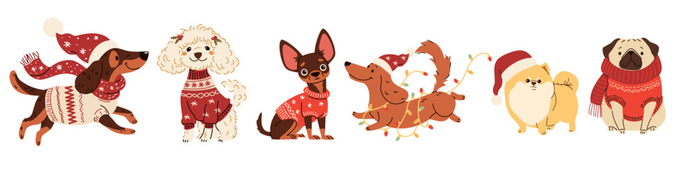 A set of vector illustrations in children's style on Christmas theme. Cute dogs in warm sweaters and scarves, Santa Claus hat and Christmas garland. Dachshund Pug Spitz Poodle Spaniel Chihuahua © Alena