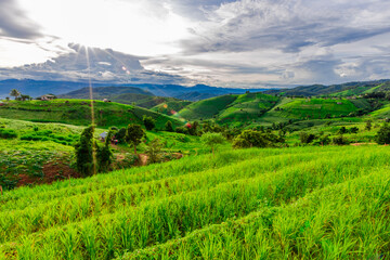 Natural background on the mountain with green rice terraces. Pa Bong Piang is one of the beautiful viewpoints in Chiang Mai, Thailand, overlooking the surrounding mountains. It is always popular.