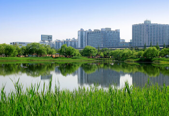 Bucheon-si, Gyeonggi-do, South Korea - June 9, 2020: Sangdong Lake Park with the background of highrise apartments
