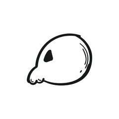 Skeleton line art doodle hand drawn isolated background. Vector illustration