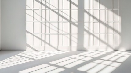 Soft Shadows on a Minimalist Wall