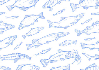 Contour print of catfish, pike, sturgeon, salmon. Repeatable pattern of different species of sea and lake fishes. Endless background of fishery. Outline hand drawn seamless vector illustration