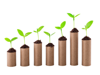 Growing plants in cardboard tubes symbolize sustainability and growth. This image showcases series of seedlings in various stages of development, representing hope and environmental awareness. 