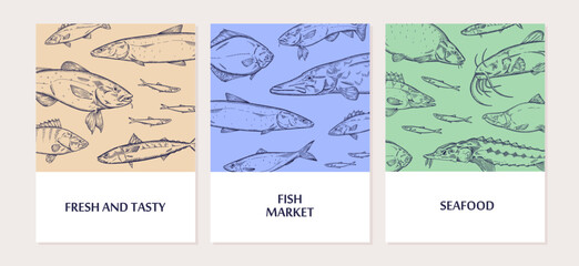Fototapeta premium Templates for cards for seafood market set. Designs of posters with outline hand drawn patterns of different species of sea fishes. Retro print of salmon, sturgeon, pike. Flat vector illustrations