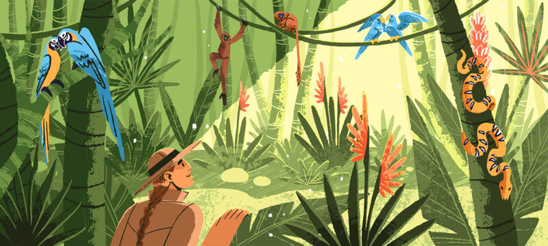 Hiker adventures in jungle. Woman looks at tropical fauna, exotic nature. Hiking in Amazon forest with palm trees and parrots. Rainforest landscape with lianas panoramic view. Flat vector illustration