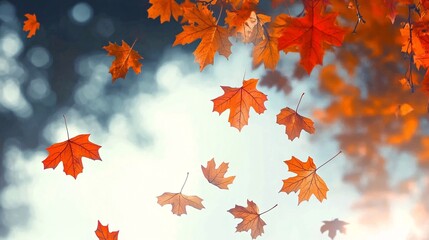 Fototapeta premium A serene autumn scene featuring vibrant red and orange maple leaves gently falling from the trees, illuminated by soft, warm sunlight filtering through a clear blue sky.