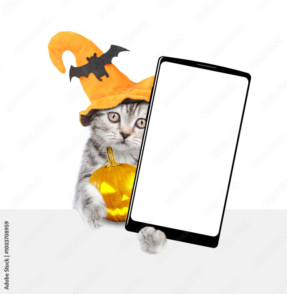 Poster cute kitten wearing hat for halloween holds pumpkin and shows smartphone with white blank screen in 
