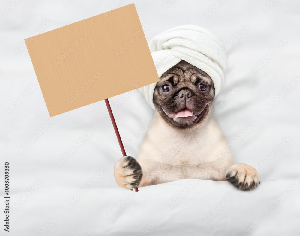 Aufkleber cute pug puppy with towel on it head sleeps on a bed at home and shows blank placard. top down view.