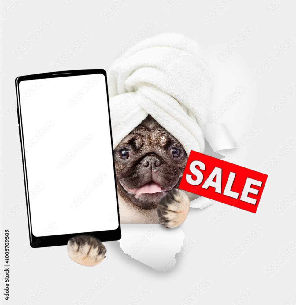 Poster cute pug puppy with towel on it head holding big smartphone with white blank screen in it paw, looki