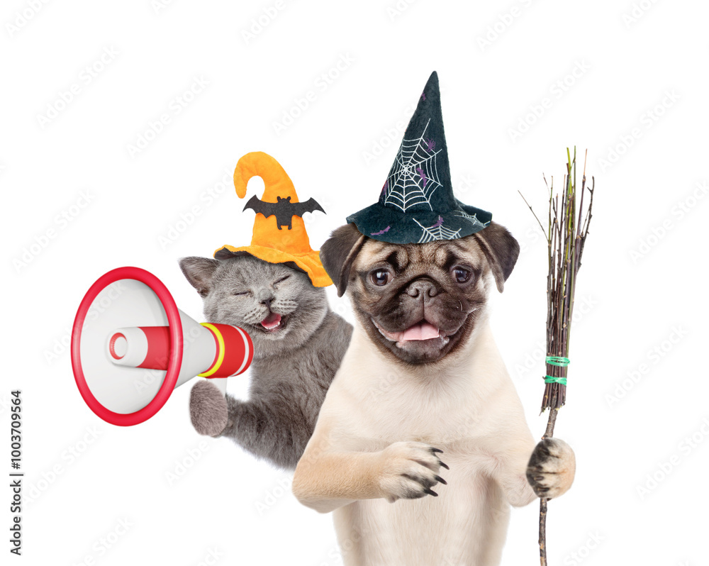 Poster happy cat and pug puppy wearing hats for halloween looks at camera. dog holds the broomstick. kitten