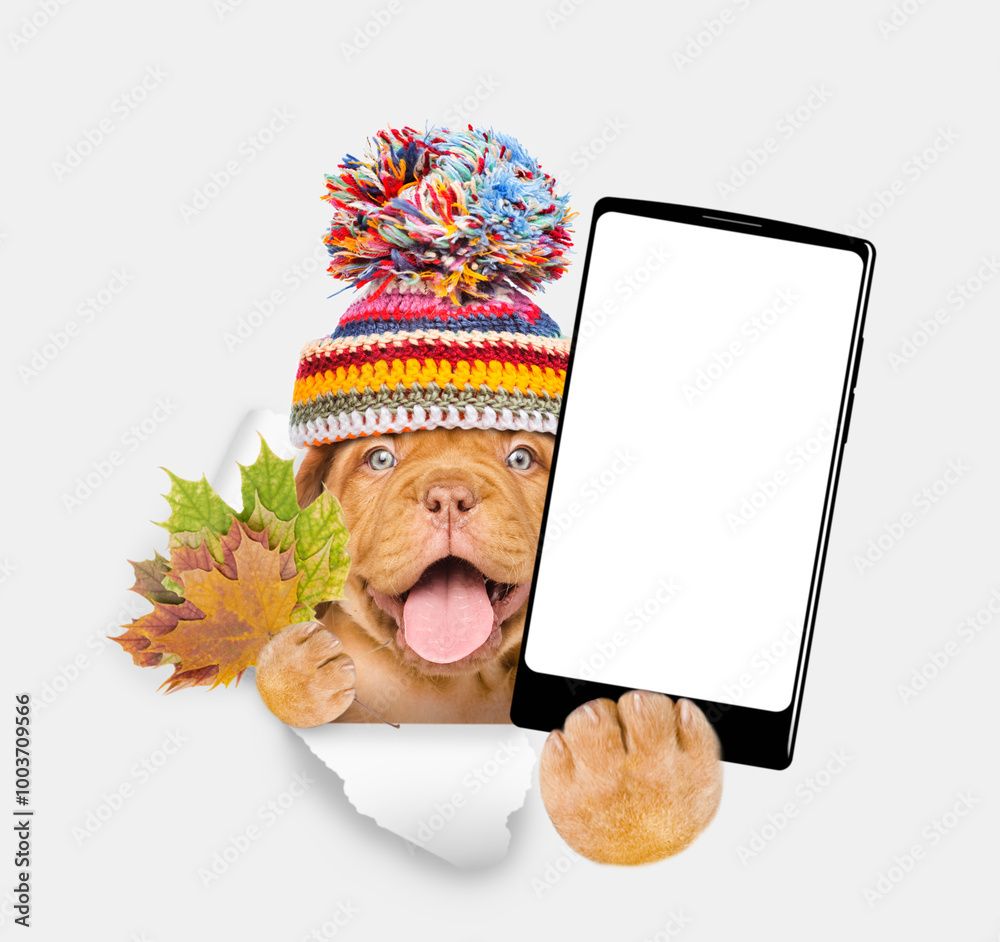 Aufkleber smiling puppy wearing warm hat holds dry leaves and big smartphone with white blank screen in it paw