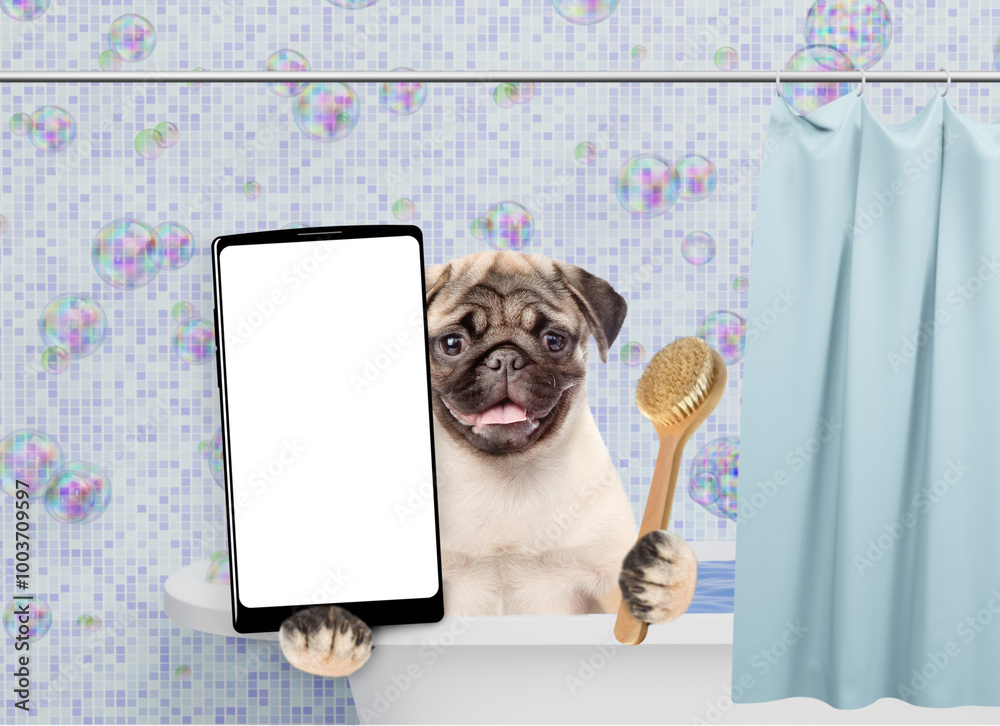 Aufkleber Funny Pug puppy takes the bath shows big smartphone with white blank screen in it paw. Empty space for text