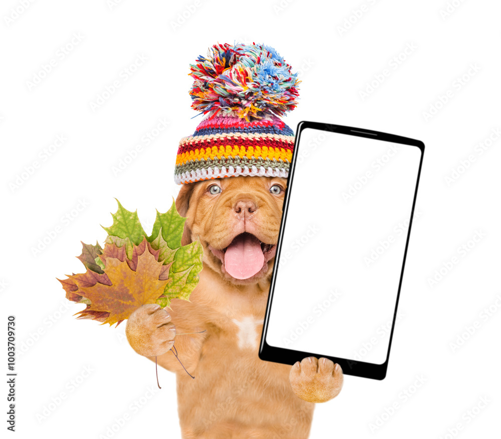 Poster happy mastiff puppy wearing warm hat holds dry leaves and big smartphone with white blank screen in 