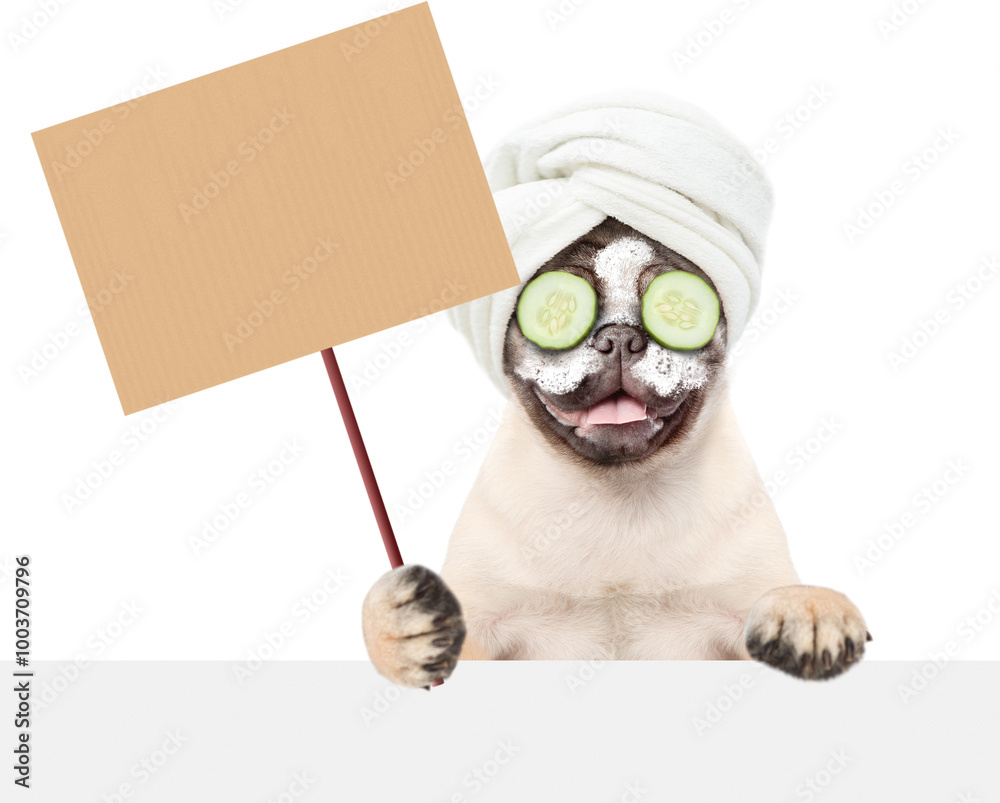 Aufkleber funny pug puppy with towel on it head and with pieces of cucumber on it eyes shows blank placard abo