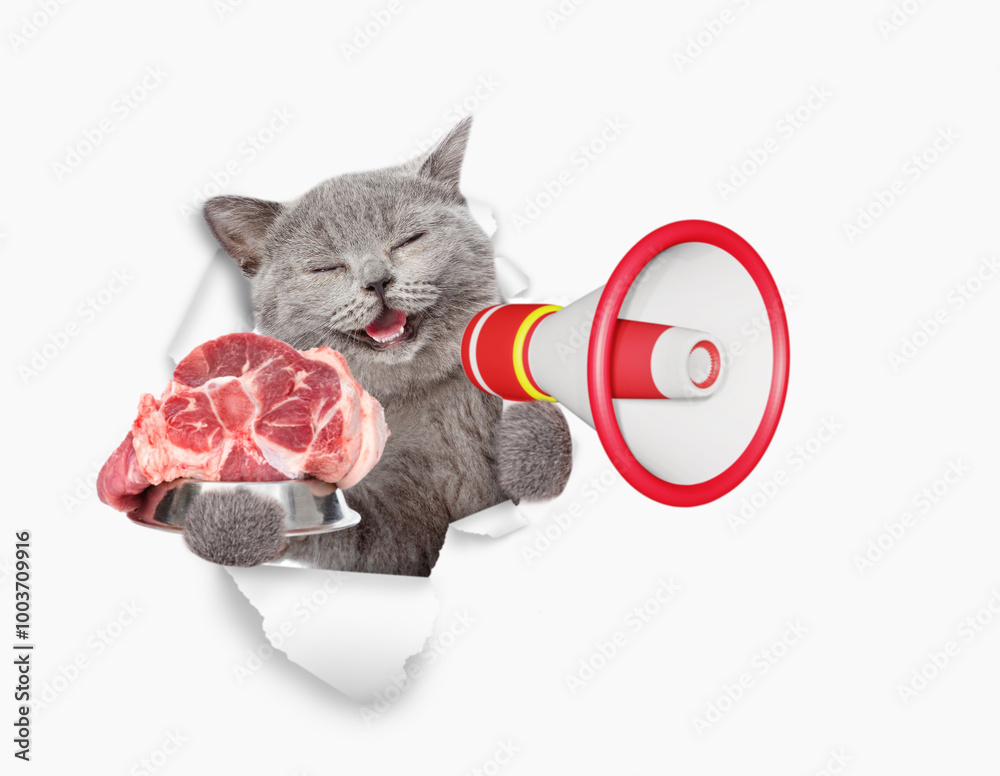 Poster happy cat looking through the hole in white paper meowing into the megaphone and showing bowl of raw