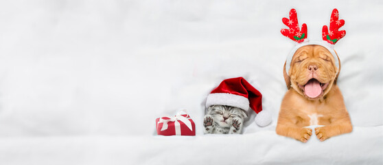 Happy mastiff puppy dressed like santa claus reindeer  Rudolf sleeping with cozy kitten and gift...