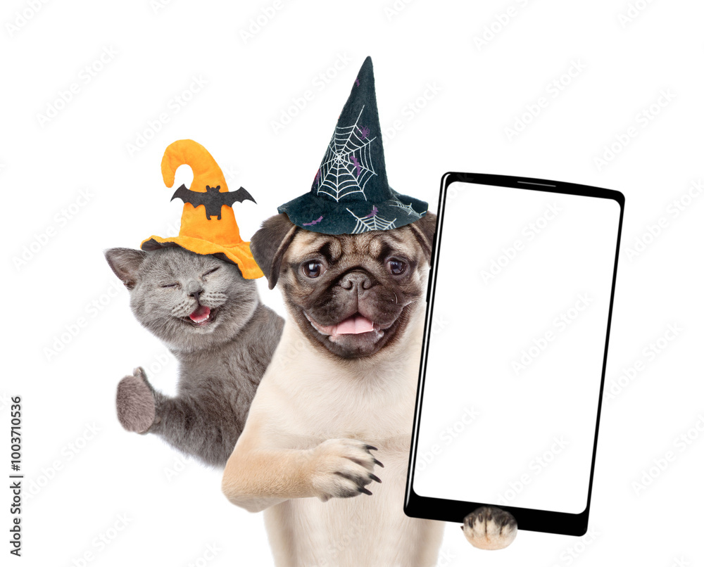 Poster happy cat and pug puppy wearing hats for halloween looks at camera. dog shows smartphone with white 