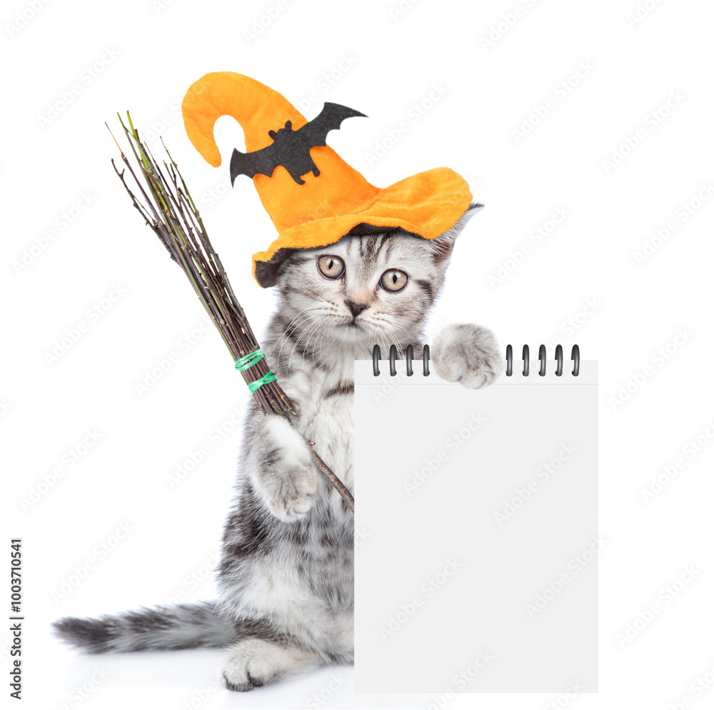 Poster cute kitten with hat for halloween shows blank notepad. isolated on white background
