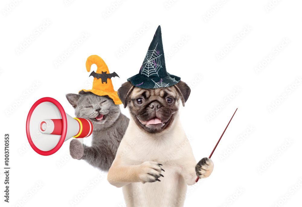 Poster happy cat and pug puppy wearing hats for halloween looks at camera. dog points away on empty space. 