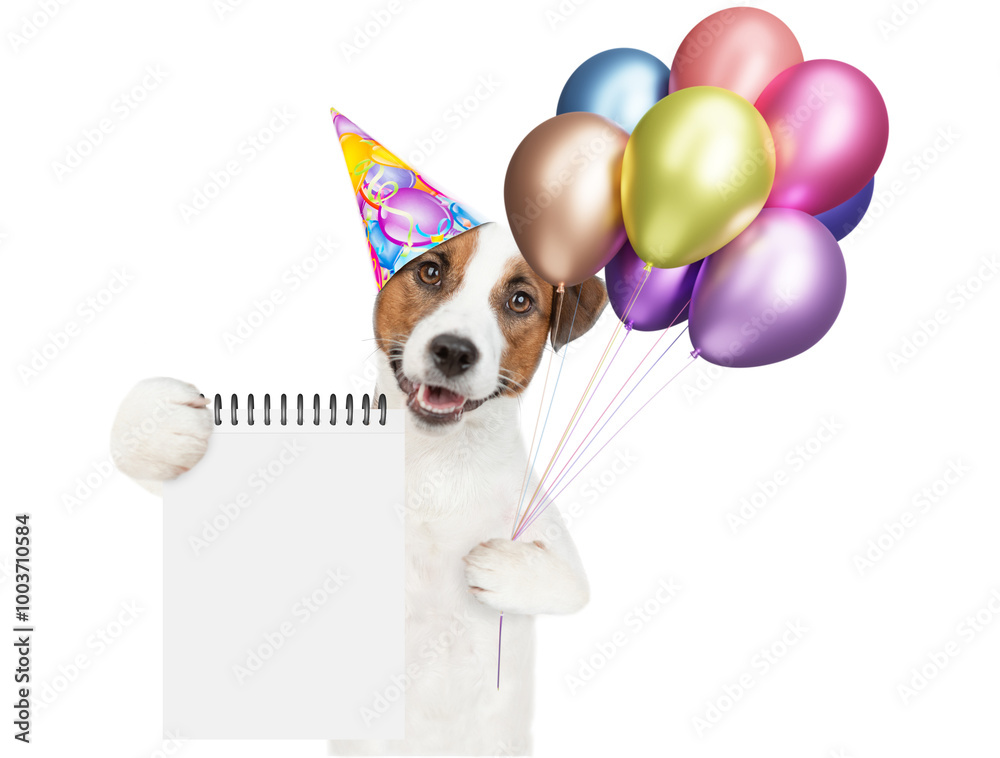 Poster happy jack russell terrier puppy wearing party cap holds balloons and ahows blank placard. empty spa