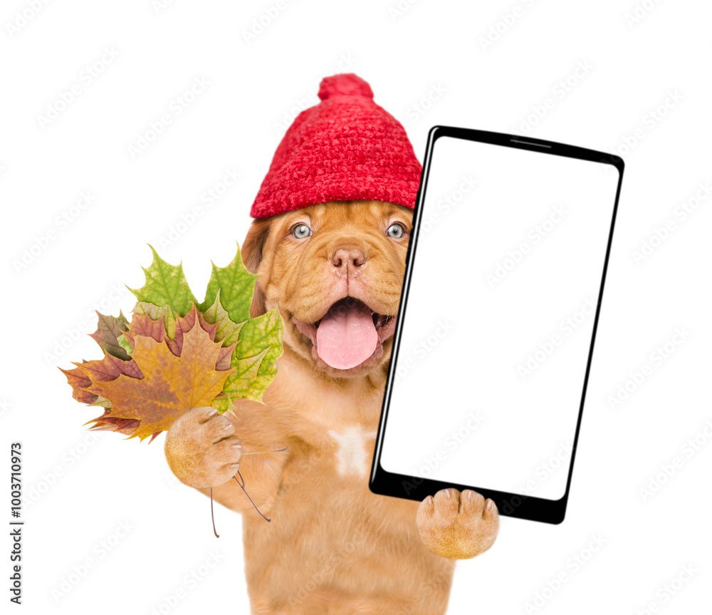 Aufkleber smiling puppy wearing warm hat holds dry leaves and big smartphone with white blank screen in it paw