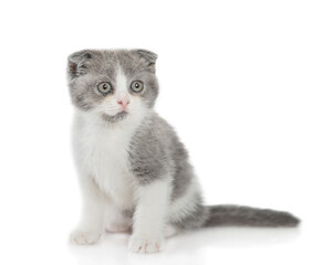 Spotty tiny kitten sits and looks away on empty space. isolated on white background