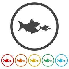 Food Chain Fish icon. Set icons in color circle buttons
