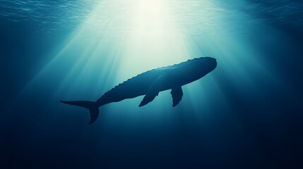 Fototapeta premium Whale Silhouette Underwater Sunlight